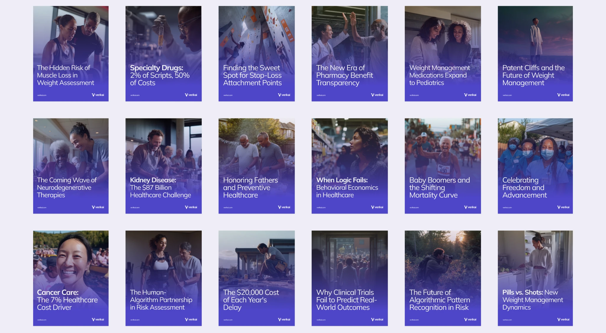 Verikai brand guidelines overview